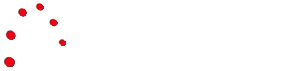 LineaRekta consultancy logo